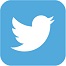 twitter.logo
